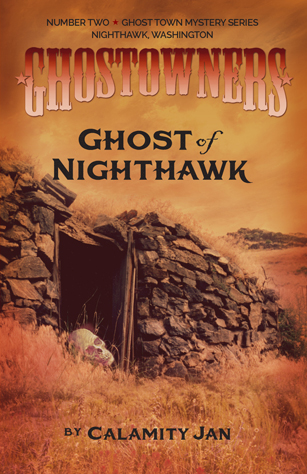 Ghost of Nighthawk